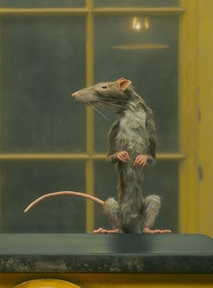 The Rat Catcher